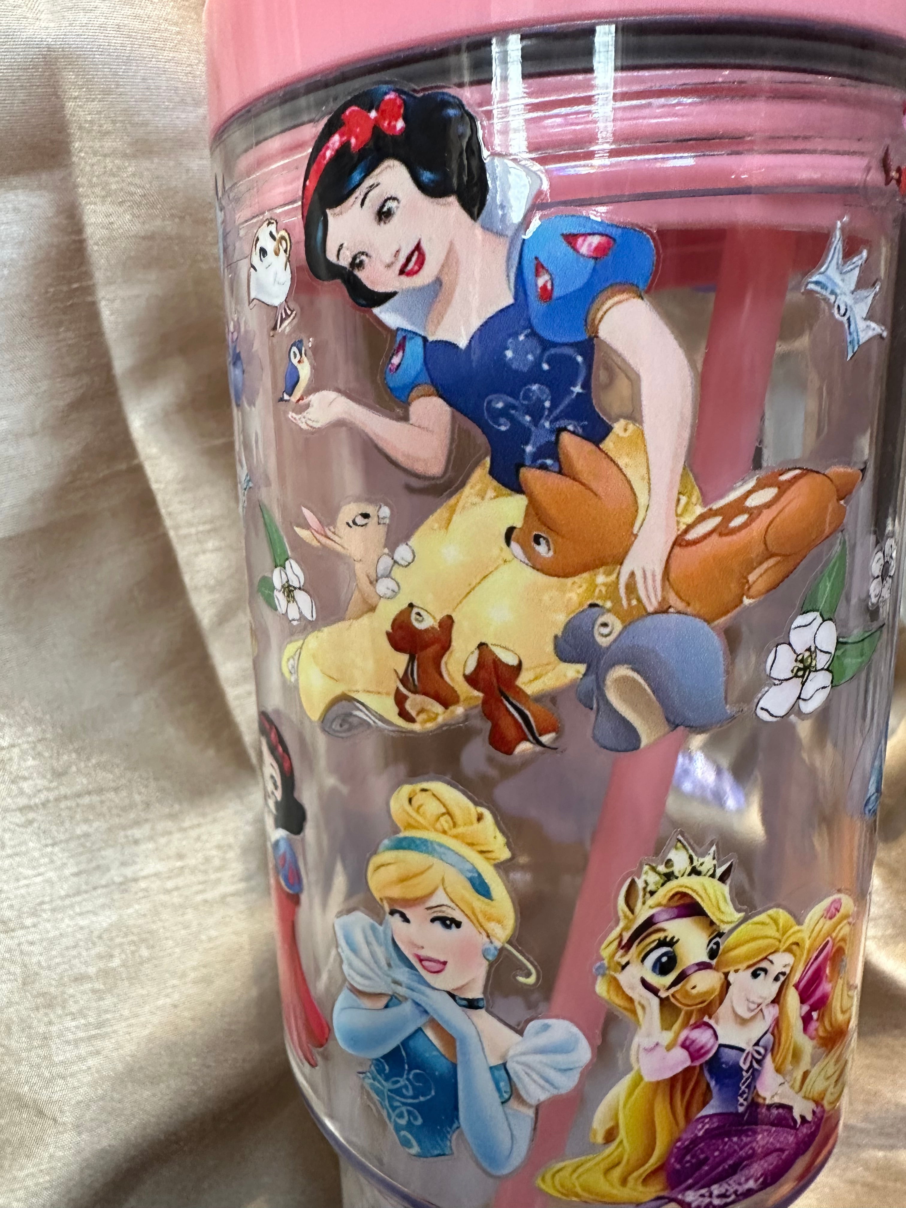 Princess 20 oz tumbler