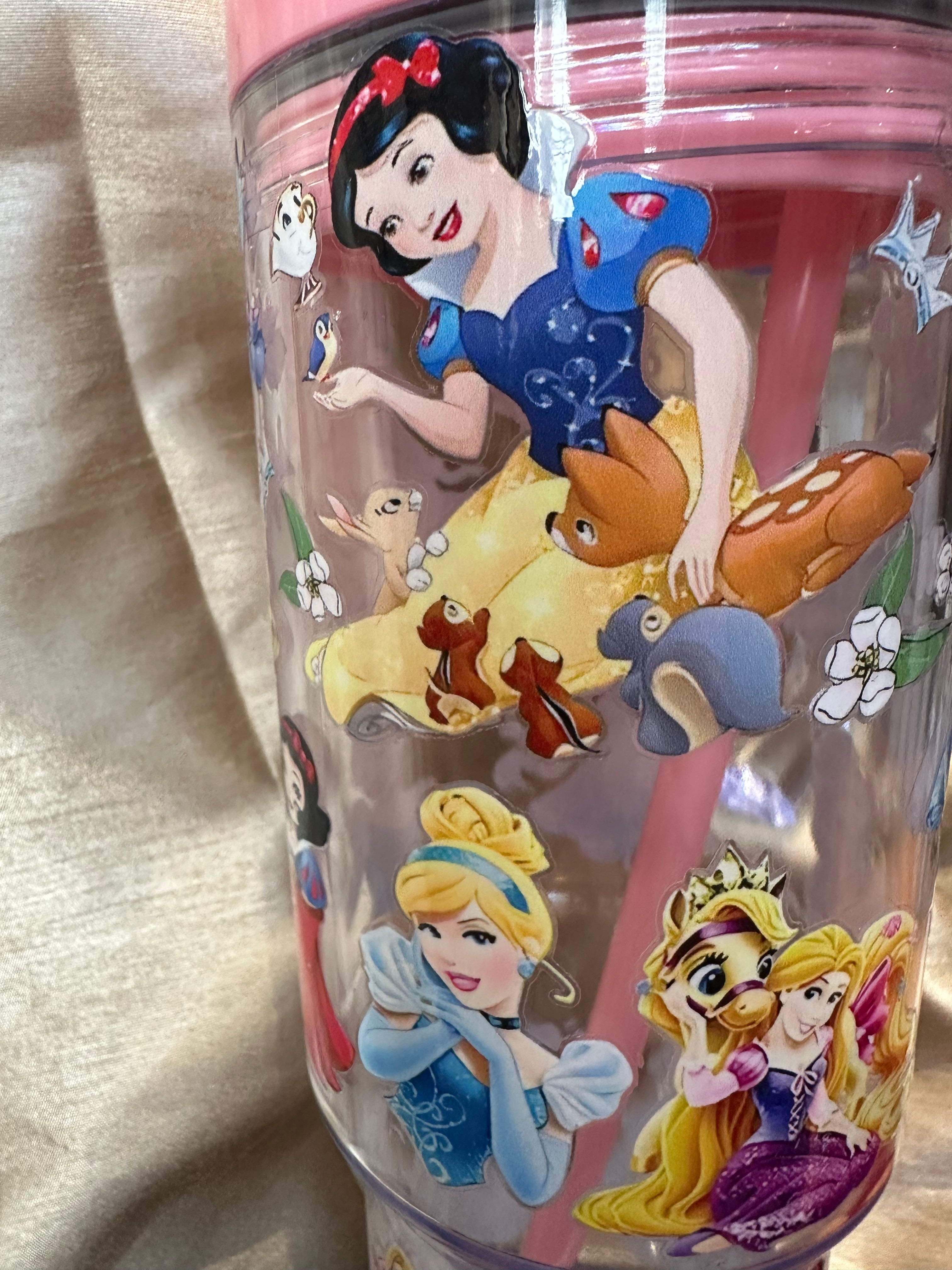 Princess 20 oz tumbler